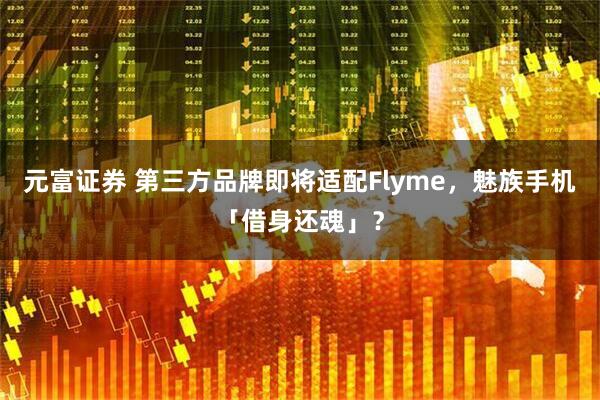 元富证券 第三方品牌即将适配Flyme，魅族手机「借身还魂」？
