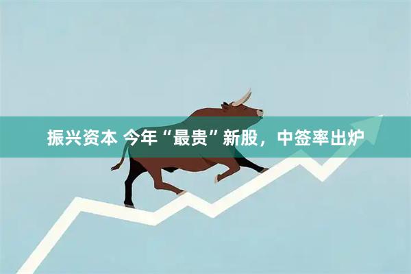 振兴资本 今年“最贵”新股，中签率出炉